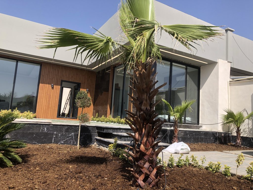 پروژه چراغ لاین